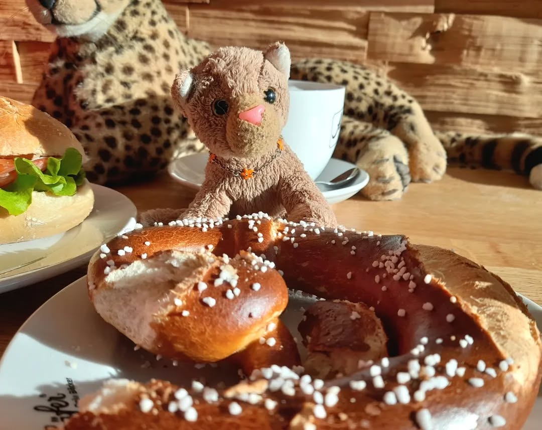 Photo shared by Juba Gepard on February 13, 2022 tagging @edward_the_foxwood_bear.