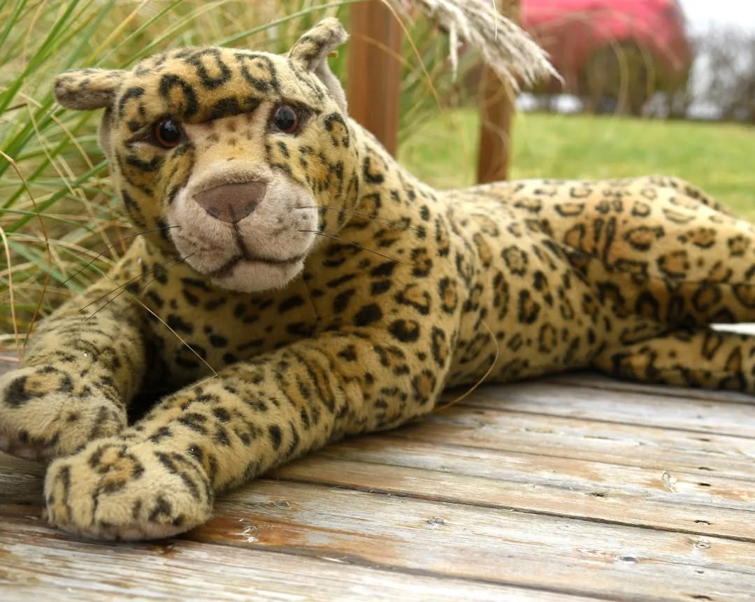 Photo by Juba Gepard on January 22, 2022.