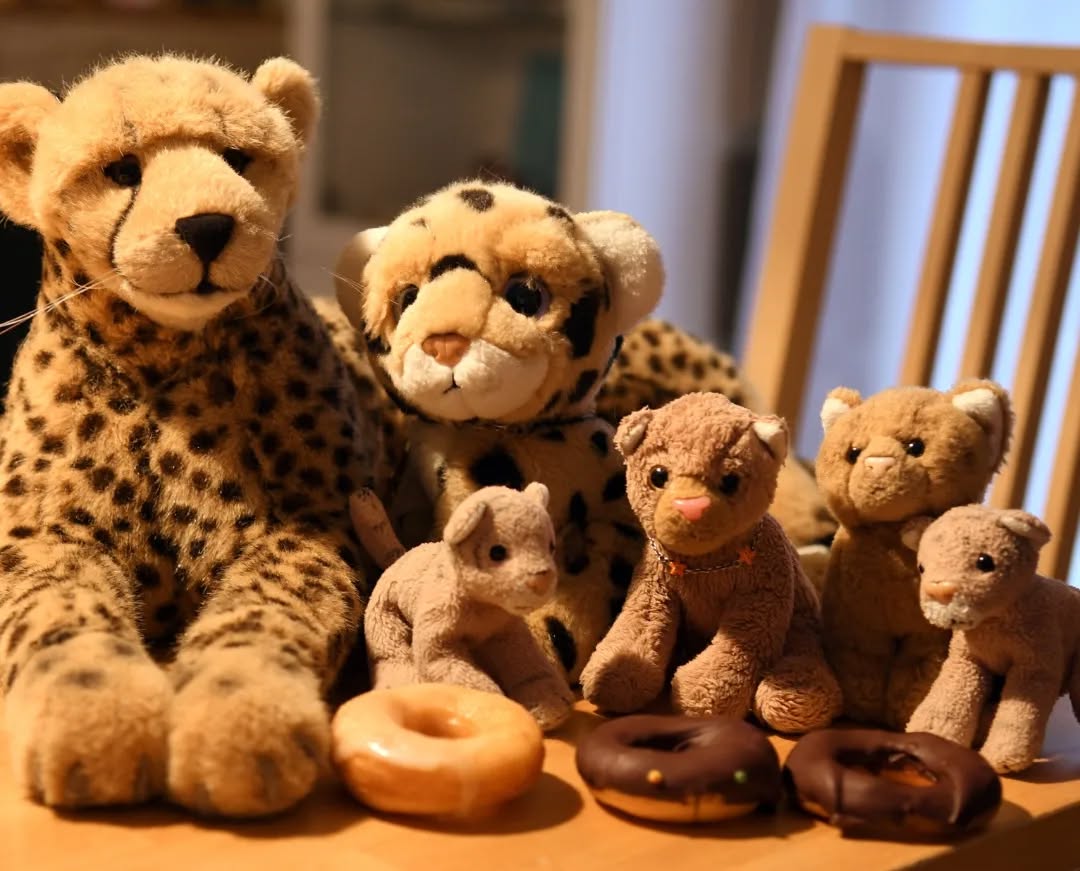 Photo shared by Juba Gepard on February 02, 2022 tagging @kuchenfluegel.