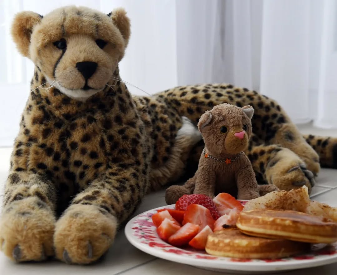 Photo by Juba Gepard on February 06, 2022.