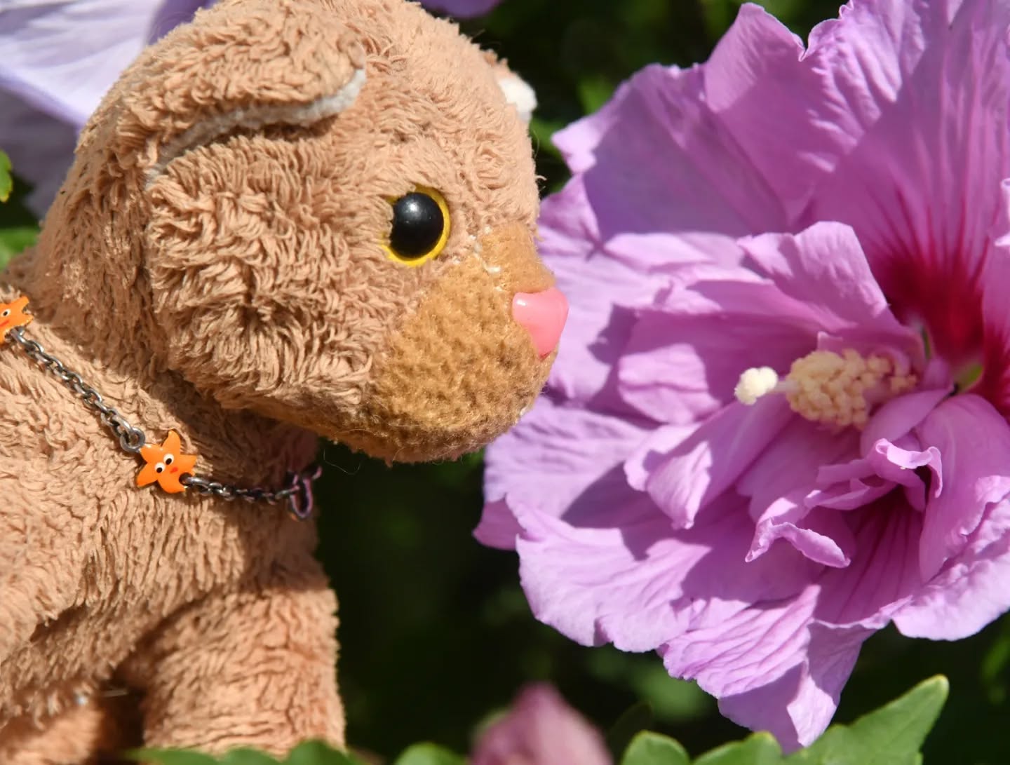 Photo by Juba Gepard on September 06, 2024.