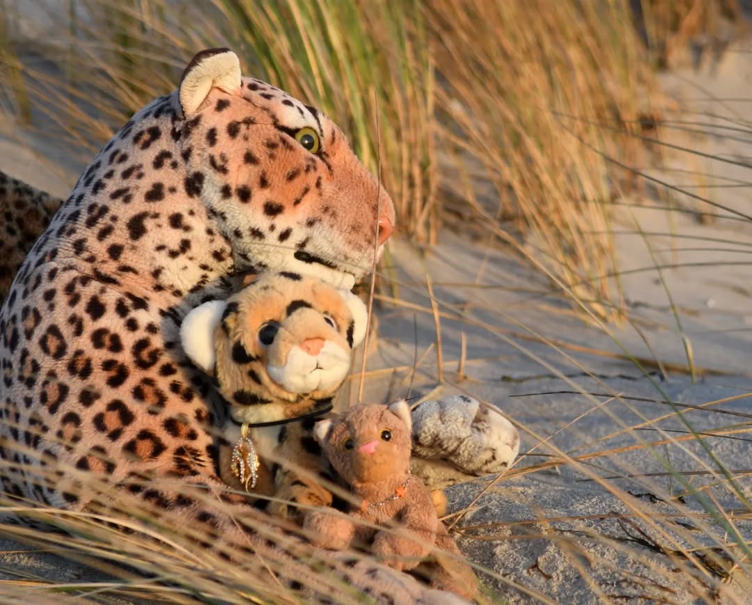 Photo by Juba Gepard on February 28, 2022.