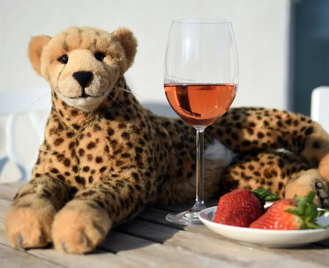 Photo shared by Juba Gepard on March 23, 2022 tagging @oscarelpelos.