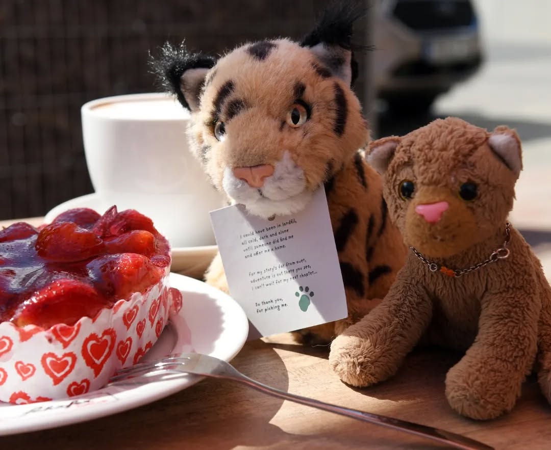 Photo shared by Juba Gepard on April 10, 2022 tagging @edward_the_foxwood_bear.: Slide Nummer 11