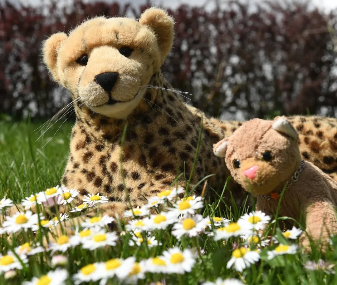 Photo by Juba Gepard on April 15, 2022.