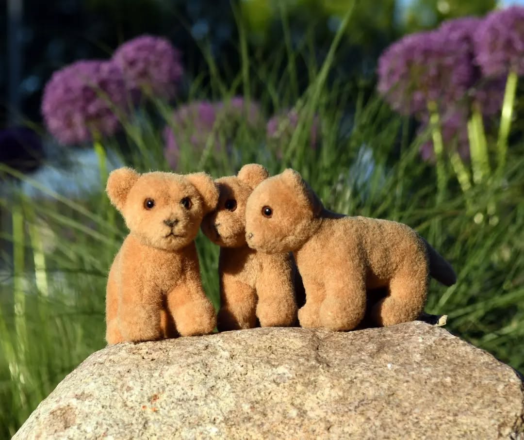 Photo by Juba Gepard on May 25, 2022.: Slide Nummer 2