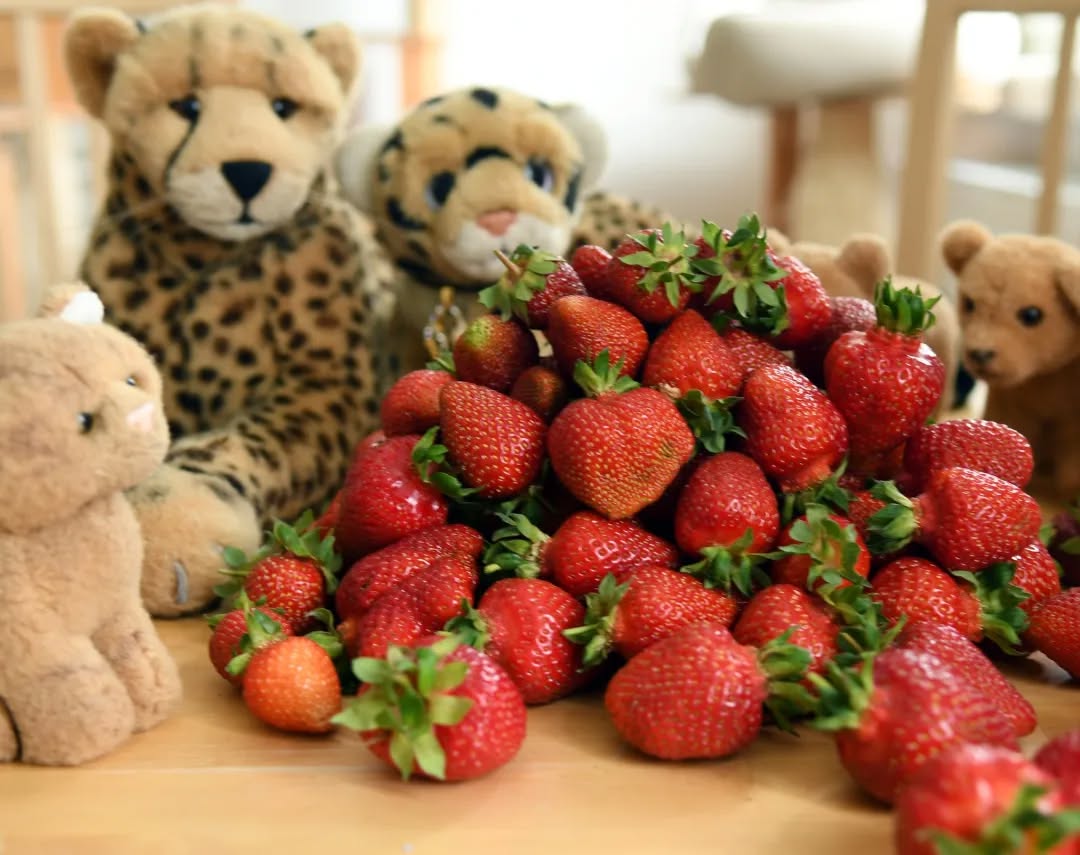 Photo by Juba Gepard on June 05, 2022.