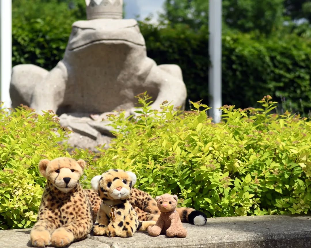 Photo by Juba Gepard on June 10, 2022.