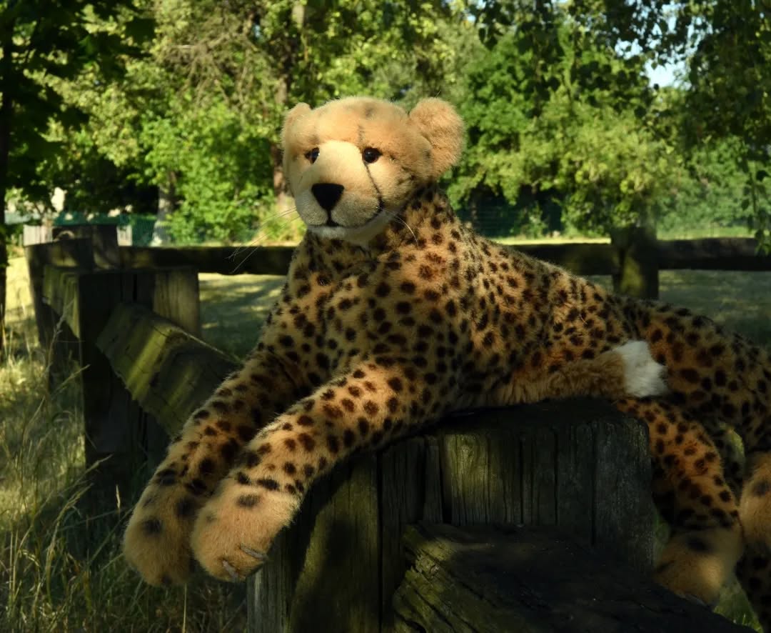 Photo by Juba Gepard on June 24, 2022.: Slide Nummer 1