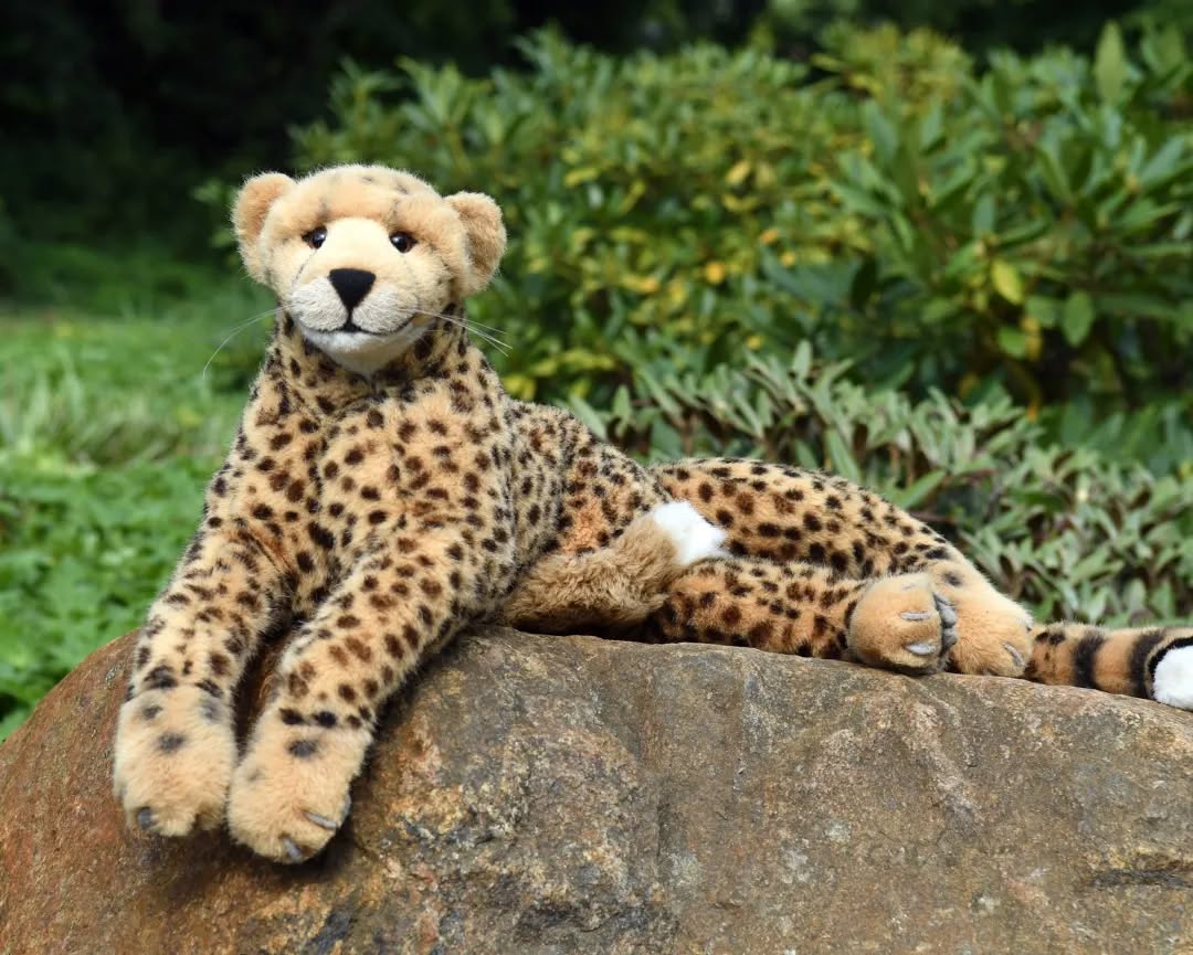 Photo by Juba Gepard on August 29, 2022.