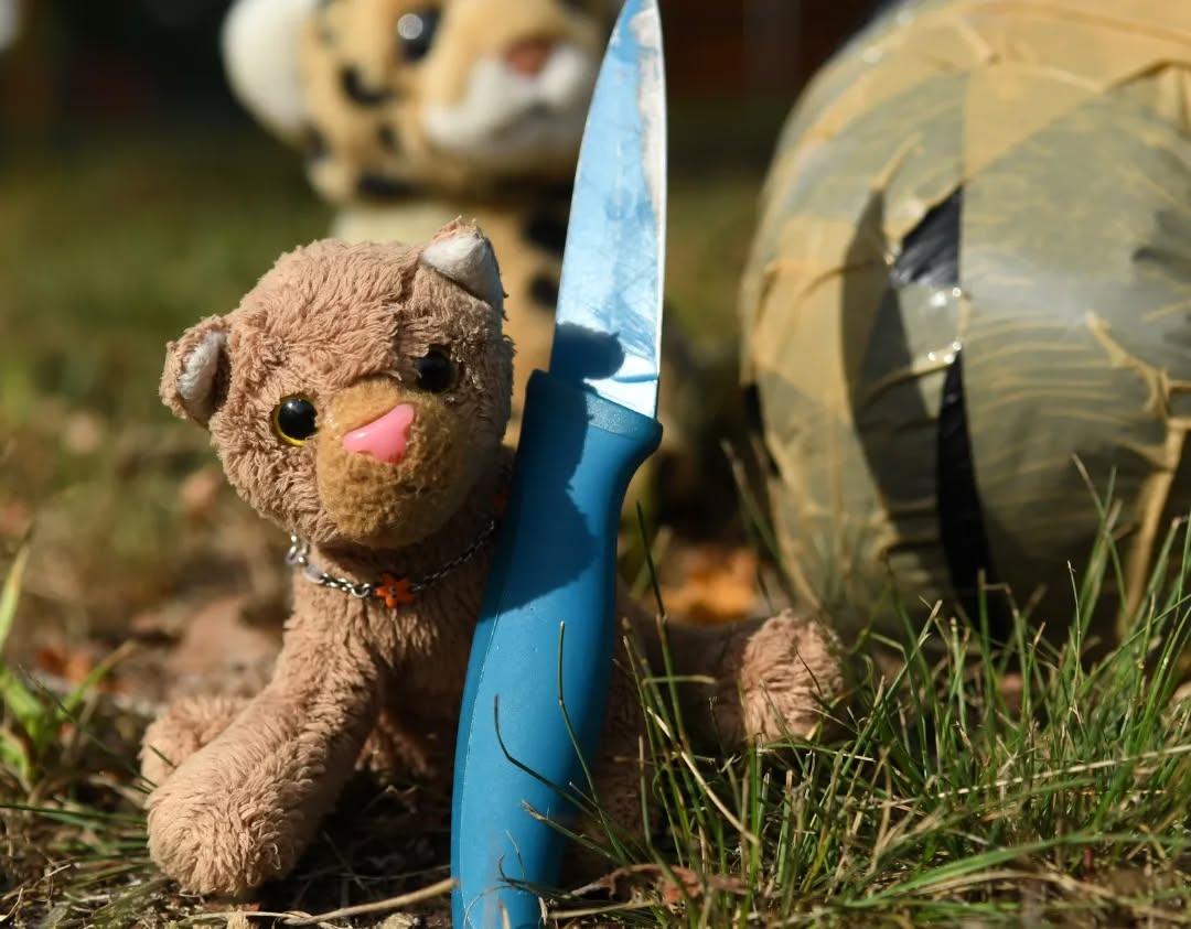 Photo by Juba Gepard on August 31, 2022.