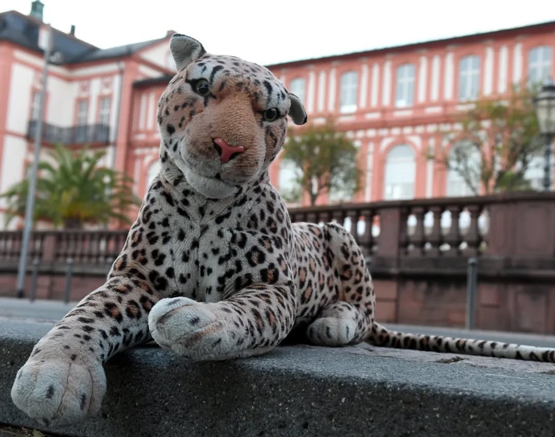 Photo by Juba Gepard on August 20, 2022.