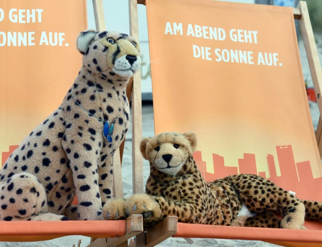 Photo by Juba Gepard on September 13, 2022.: Slide Nummer 1