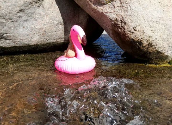Wir wollten gerade nach Hause fahren, da entdeckte Dusk einen Brunnen. Mit Wasser. Nicht so wellig. Aber immerhin sprudelnd. Und das konnte nur eines bedeuten: Schwimmen auf den aufblasbaren Tieren. Yay.  Bei der großen Mutter, Erbauerin der Welten, wir lieben...