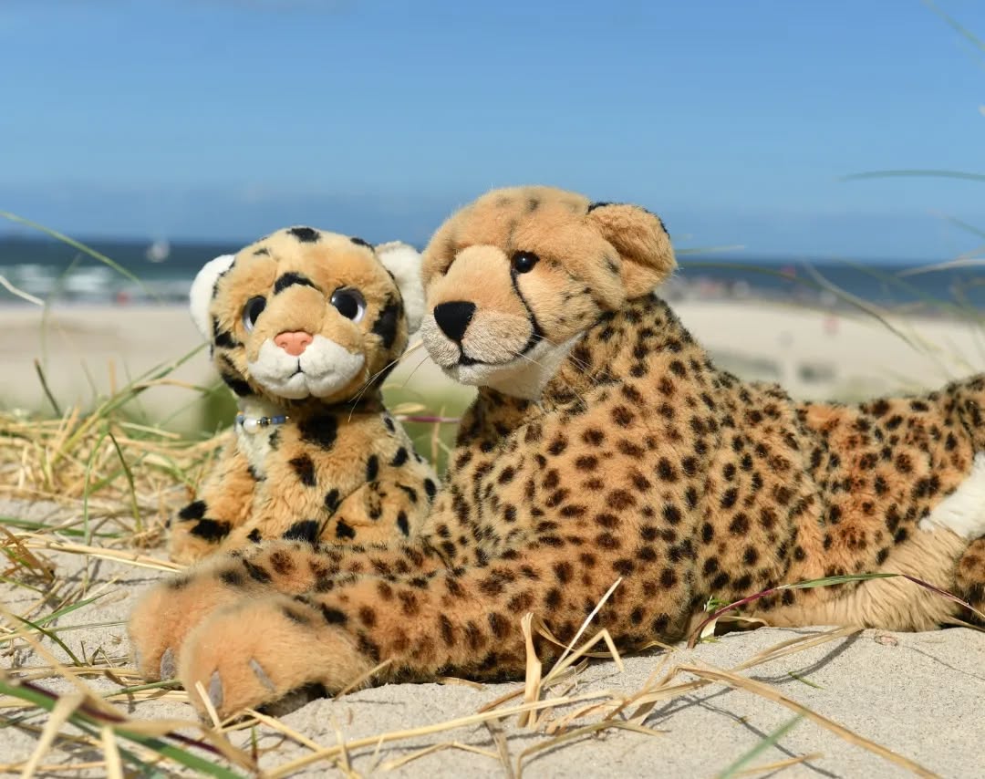 Photo by Juba Gepard on September 17, 2022.