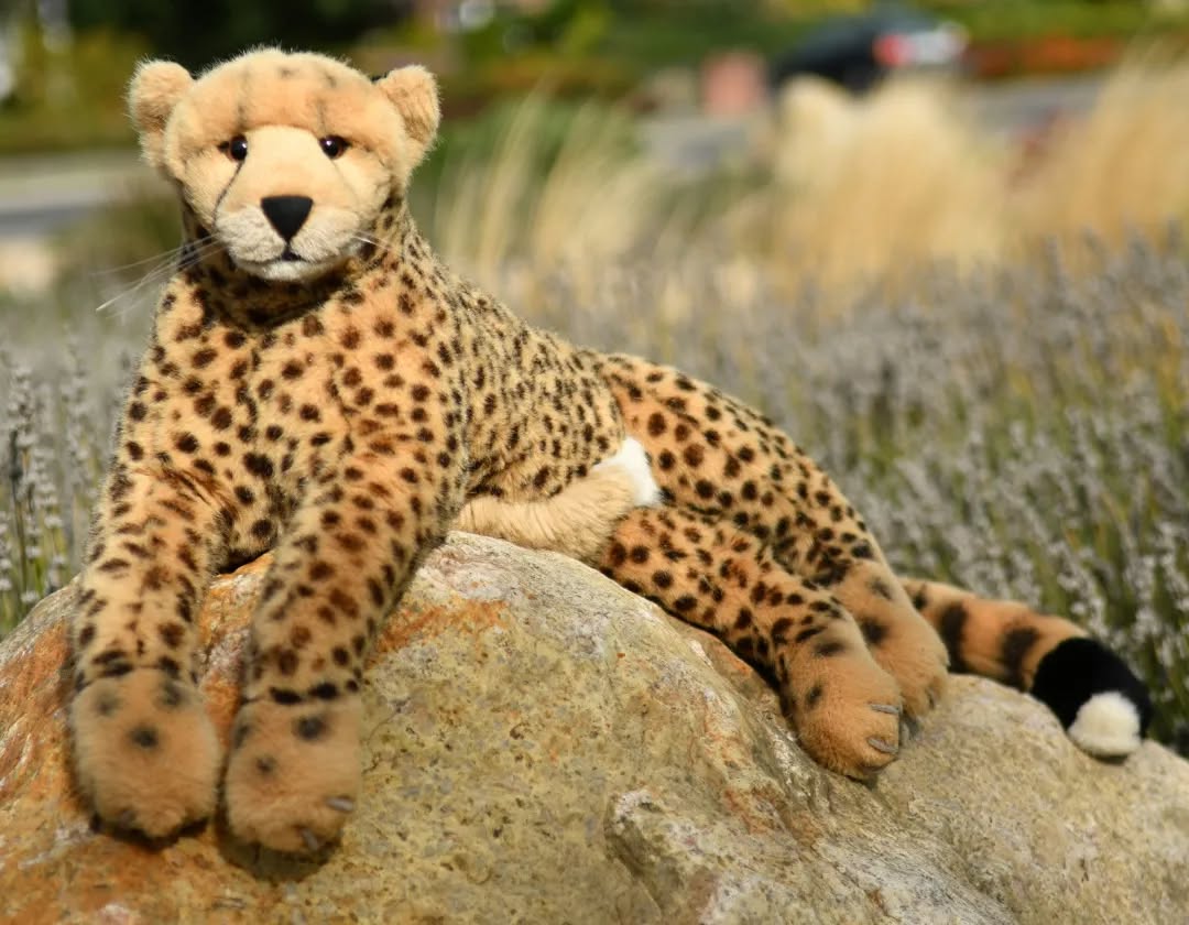 Photo by Juba Gepard on October 11, 2022.