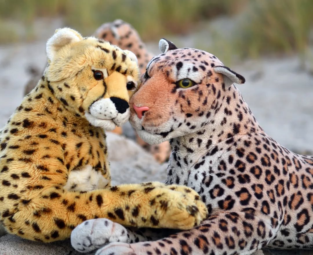 Photo by Juba Gepard on December 18, 2022.