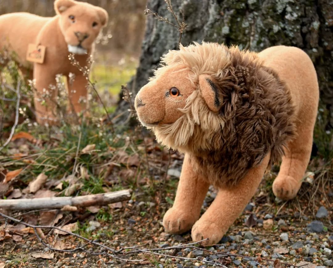 Photo by Juba Gepard on January 14, 2023.