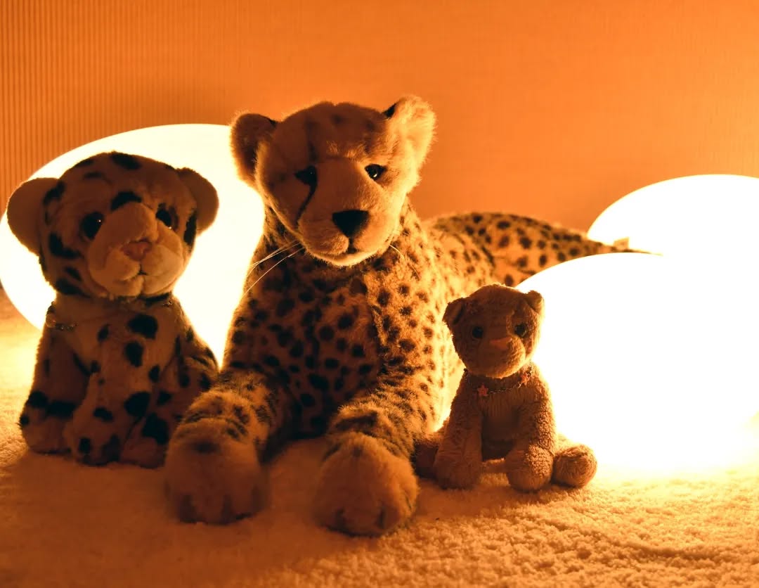 Photo by Juba Gepard on January 21, 2023.