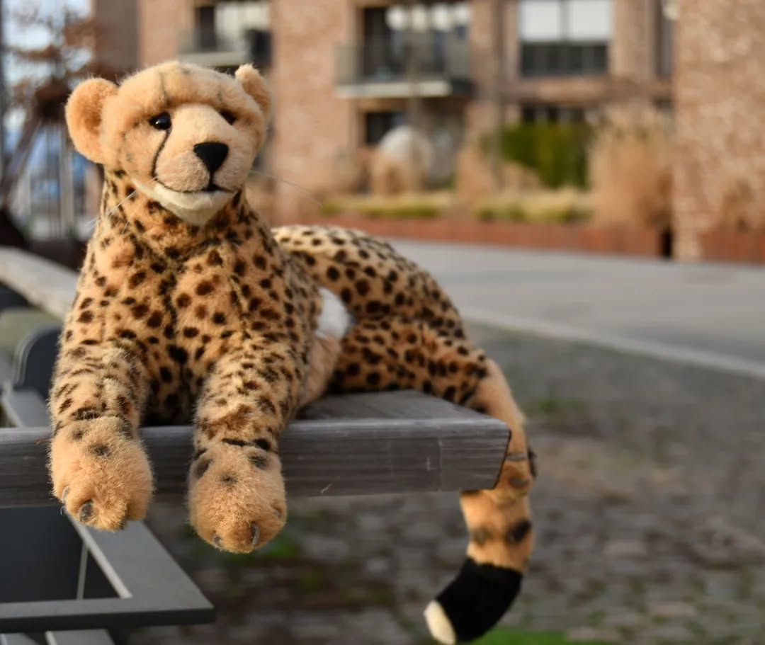 Photo by Juba Gepard on January 21, 2023.