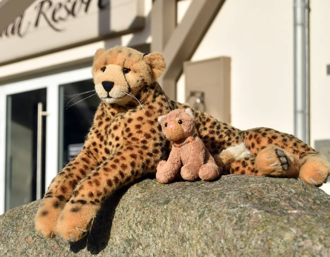 Photo by Juba Gepard on February 22, 2023.