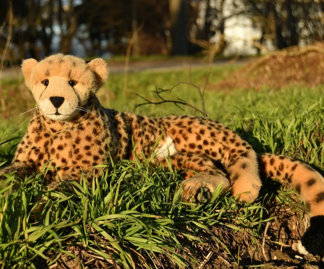 Photo by Juba Gepard on February 19, 2023.