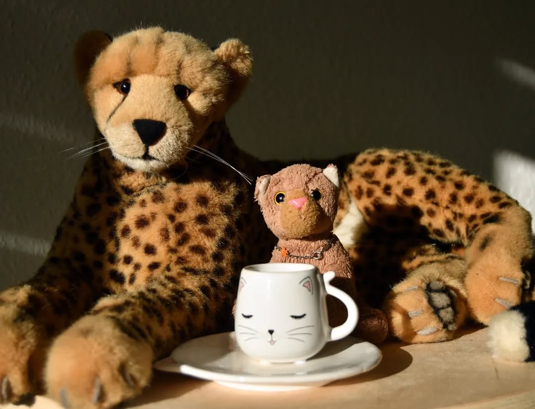 Photo by Juba Gepard on March 16, 2023.