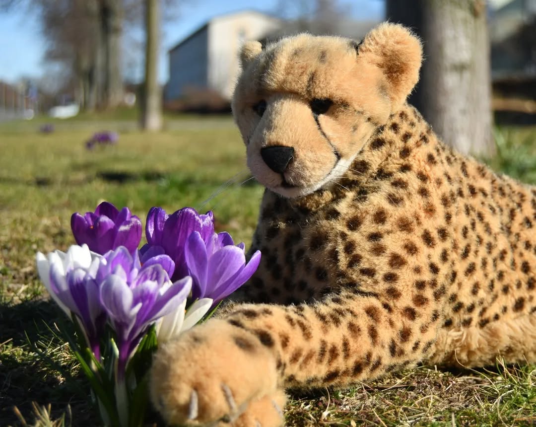 Photo by Juba Gepard on March 19, 2023.
