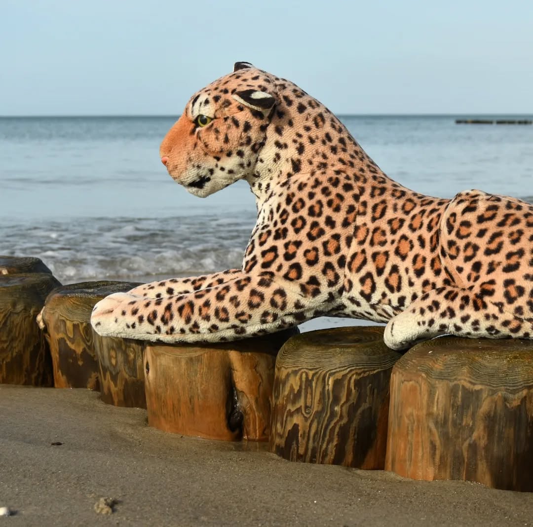 Photo by Juba Gepard on February 28, 2023.