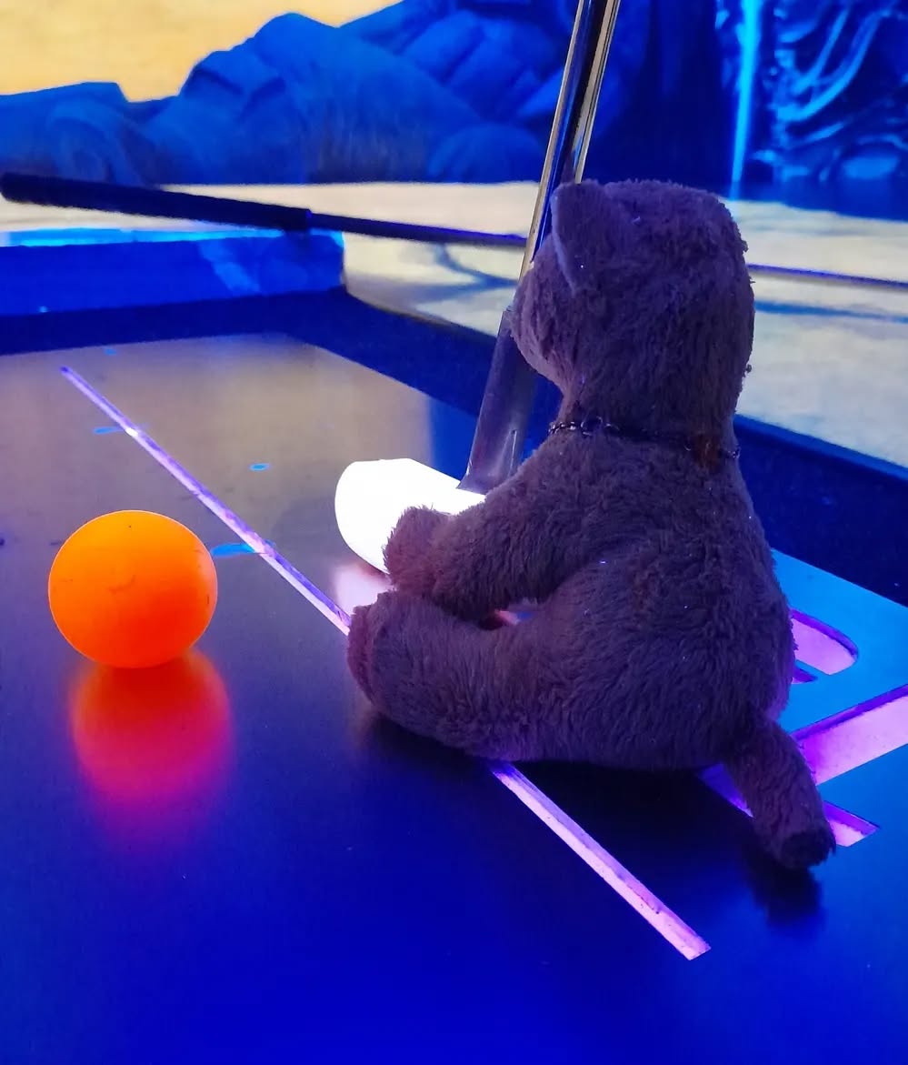 Photo by Juba Gepard on March 03, 2023.