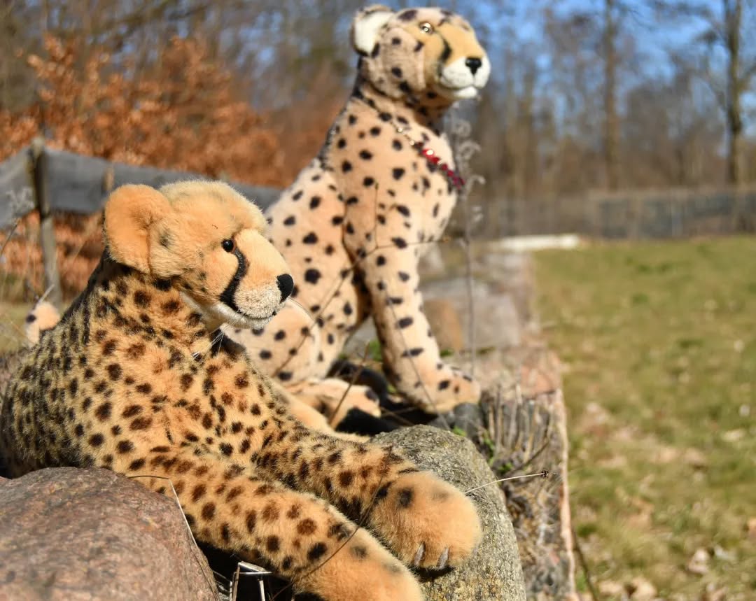 Photo by Juba Gepard on March 24, 2023.: Slide Nummer 1