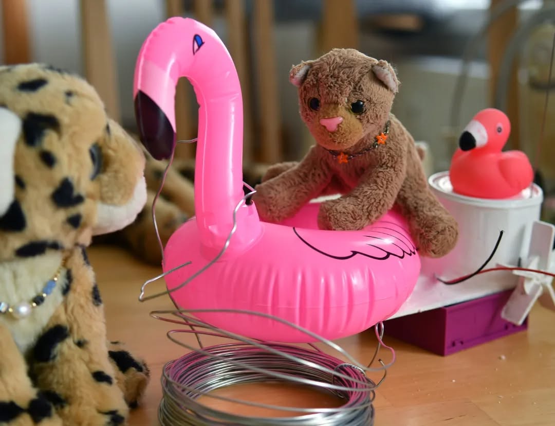 Photo by Juba Gepard on May 17, 2023.