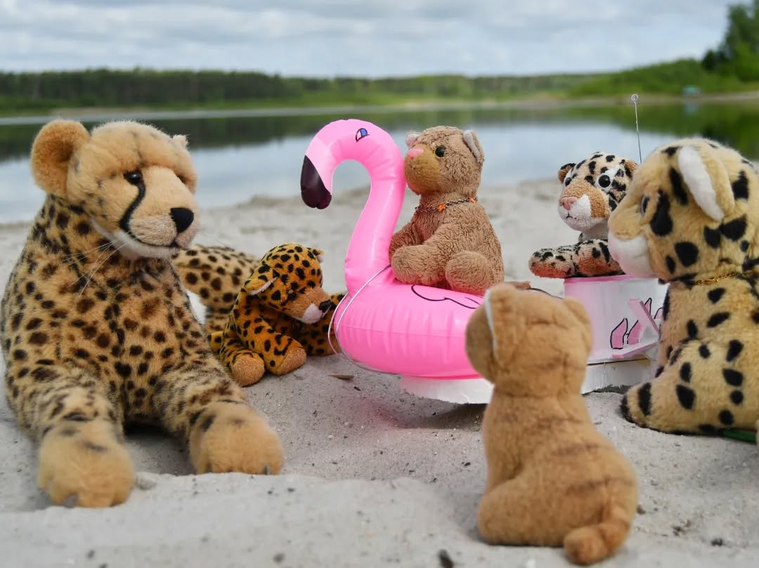 Photo by Juba Gepard on May 25, 2023.