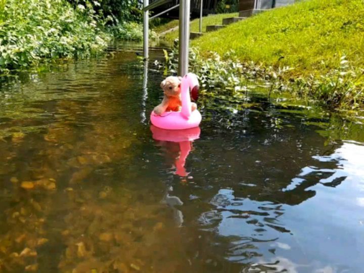 Swede lässt keine Gelegenheit aus, ihren Flamingo zu Wasser zu lassen, selbst wenn es eigentlich ein-ein- keine Ahnung, was das hier ist. Laut den umstehenden Schildern und Tafeln kann und soll man wohl ohne Schuhe und Strümpfe durchlaufen, ungeachtet dessen,...
