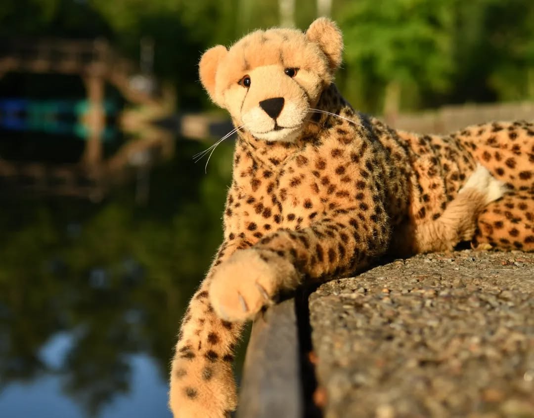 Photo by Juba Gepard on July 27, 2023.