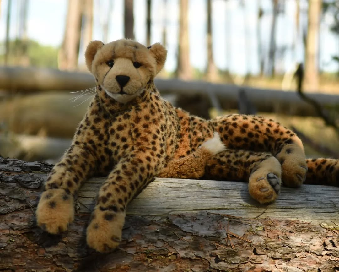 Photo by Juba Gepard on August 17, 2023.