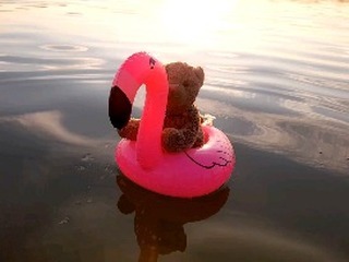 Zu gern hätte ich euch harte Flamingo-Action gezeigt, aber der Wind war heute in etwa so aufbrausend wie ein Mentos in einer Cola ohne Kohlensäure - mehr als träges Umhertreiben war nicht drinnen. Trotzdem war es voll toll. Und trotzdem sollten wir noch...