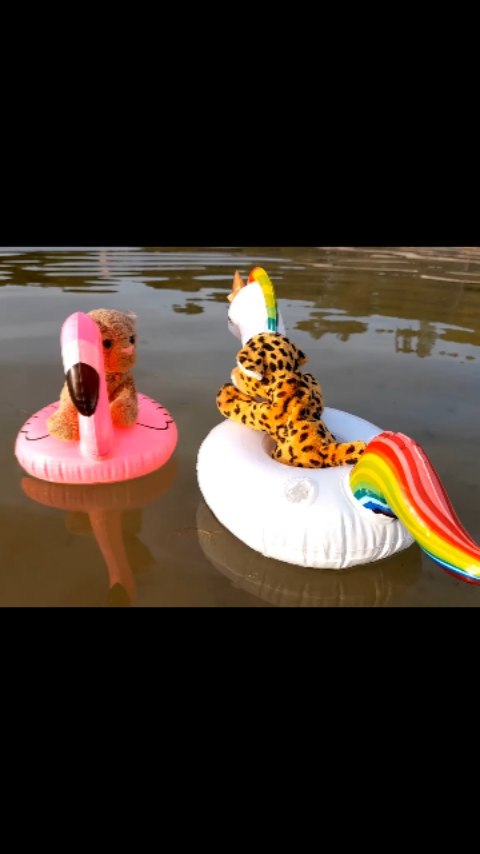 Yet another lazy flamingo ride…  [#Lake] [#Sunset] [#Beach] [#Sand] [#Flamingo] [#Floatie] [#BeerCanHolder] [#JubaOnTour] [#PlushiesOfInstagram] [#PlushiesOfGermany] [#Plushie] [#Kuscheltier] [#plushies] [#plushiecommunity] [#theinstaplushies] [#instaplushies]...