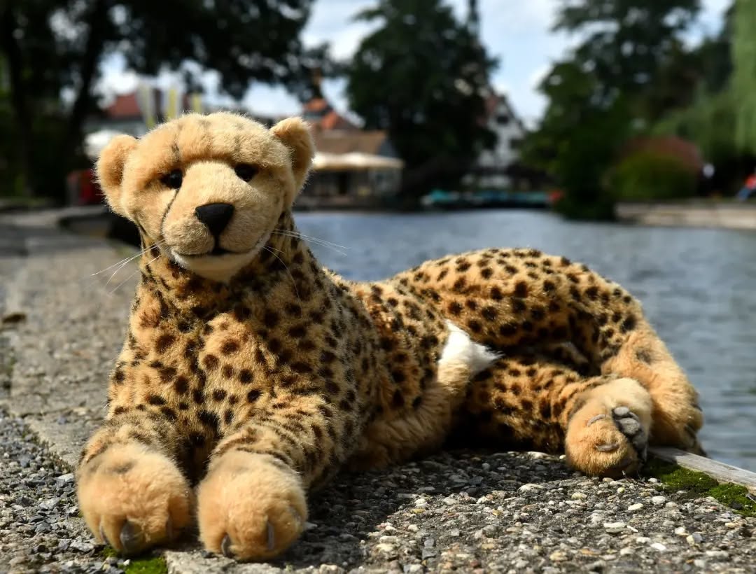 Photo by Juba Gepard on September 10, 2023.