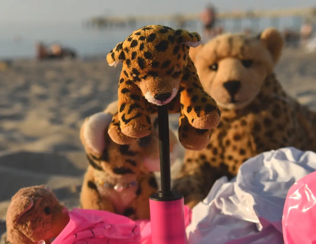 Photo by Juba Gepard on September 18, 2023.: Slide Nummer 13