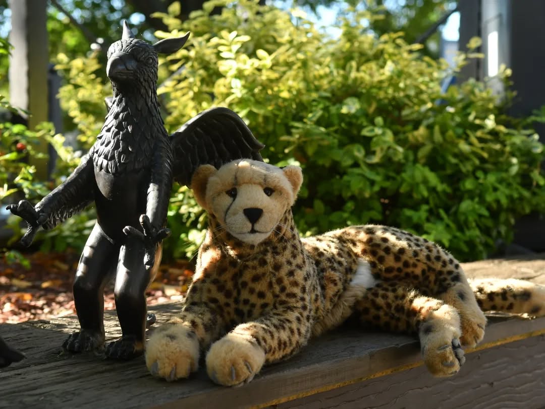 Photo by Juba Gepard on September 19, 2023.