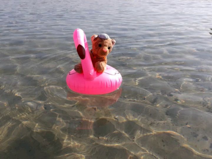Repost: And here she comes, the dare devil, sea taming, flamingo rodeo riding, super sweet Swede.  [#LovedBefore] [#Warnemuende] [#Warnemuende] [#Flamingo] [#Floatie] [#WaveRiding] [#Beach] [#Waves] [#Water] [#Sea] [#BalticSea] [#Ostsee] [#JubaAnDerOstsee]...