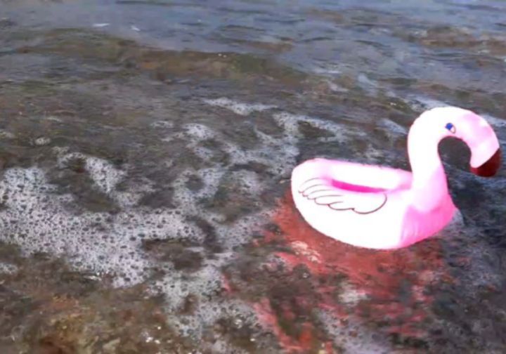 Doch ehe es zum Flamingospaß kam -  Spaß hieß, sich ungeachtet aller Gefahren ins Wasser zu stürzen -, sollte ein "Trocken"lauf mit einem unbesetzten Flamimgo gemacht werden. Niara bestand darauf - entweder eine Trockenübung oder niemand würde...