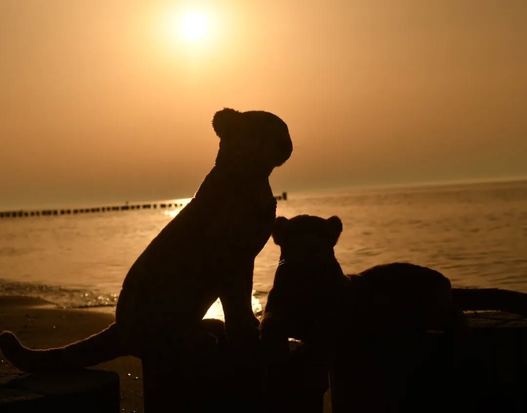 Photo by Juba Gepard on September 21, 2023.