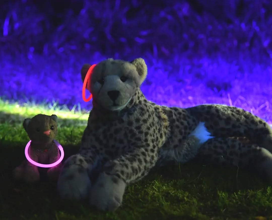 Photo by Juba Gepard on September 23, 2023.