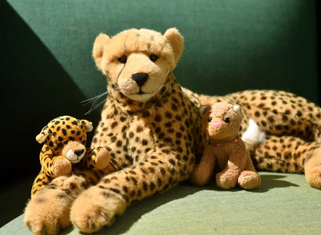 Photo by Juba Gepard on November 04, 2023.