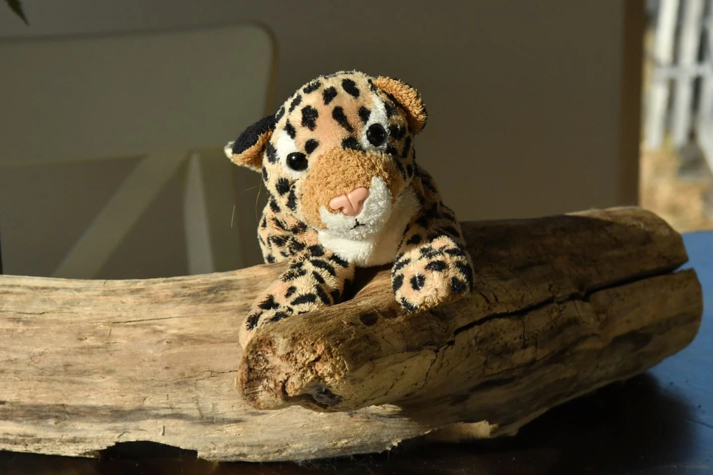 Photo by Juba Gepard on March 03, 2025.