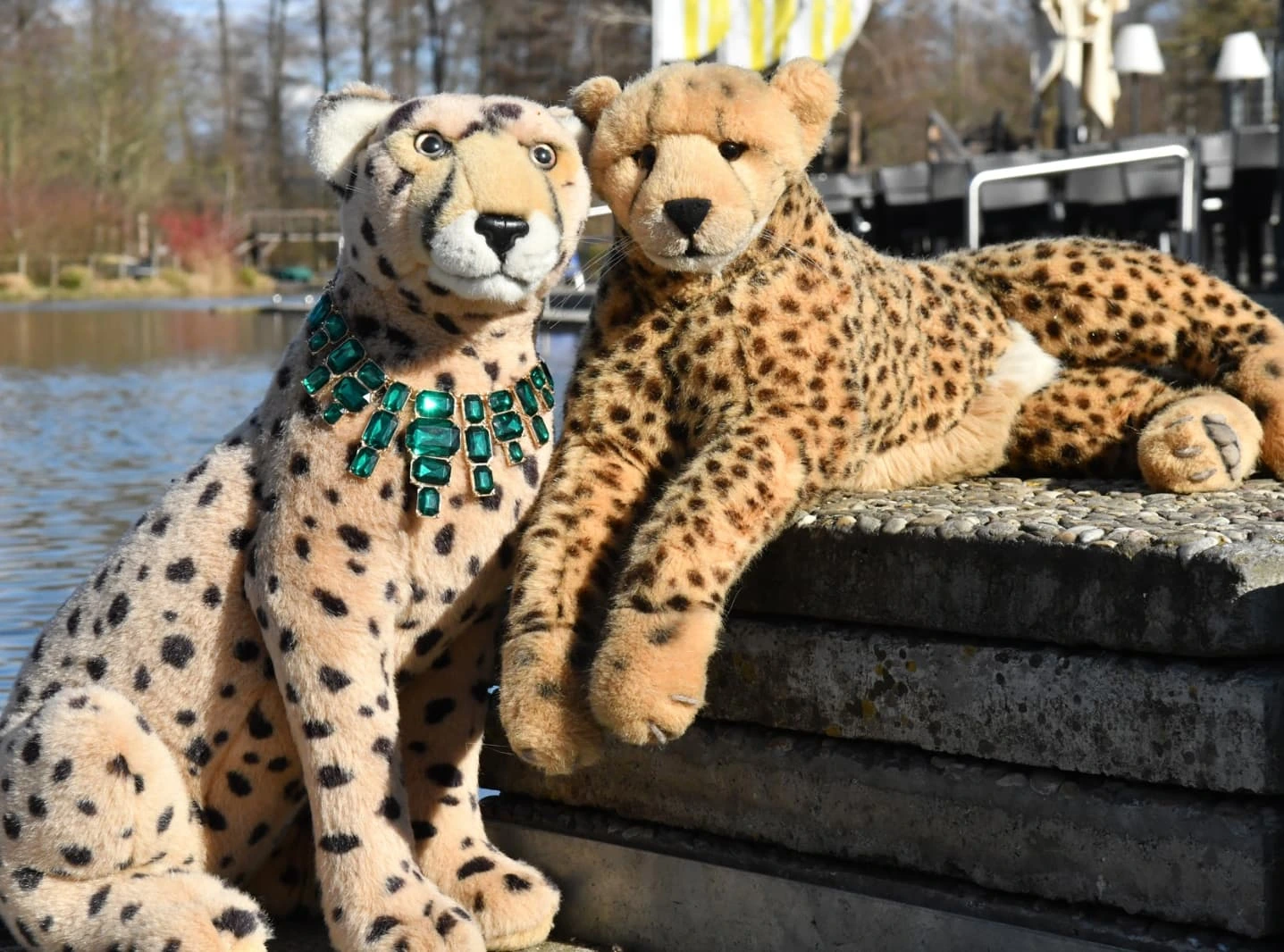 Photo by Juba Gepard on March 28, 2025.