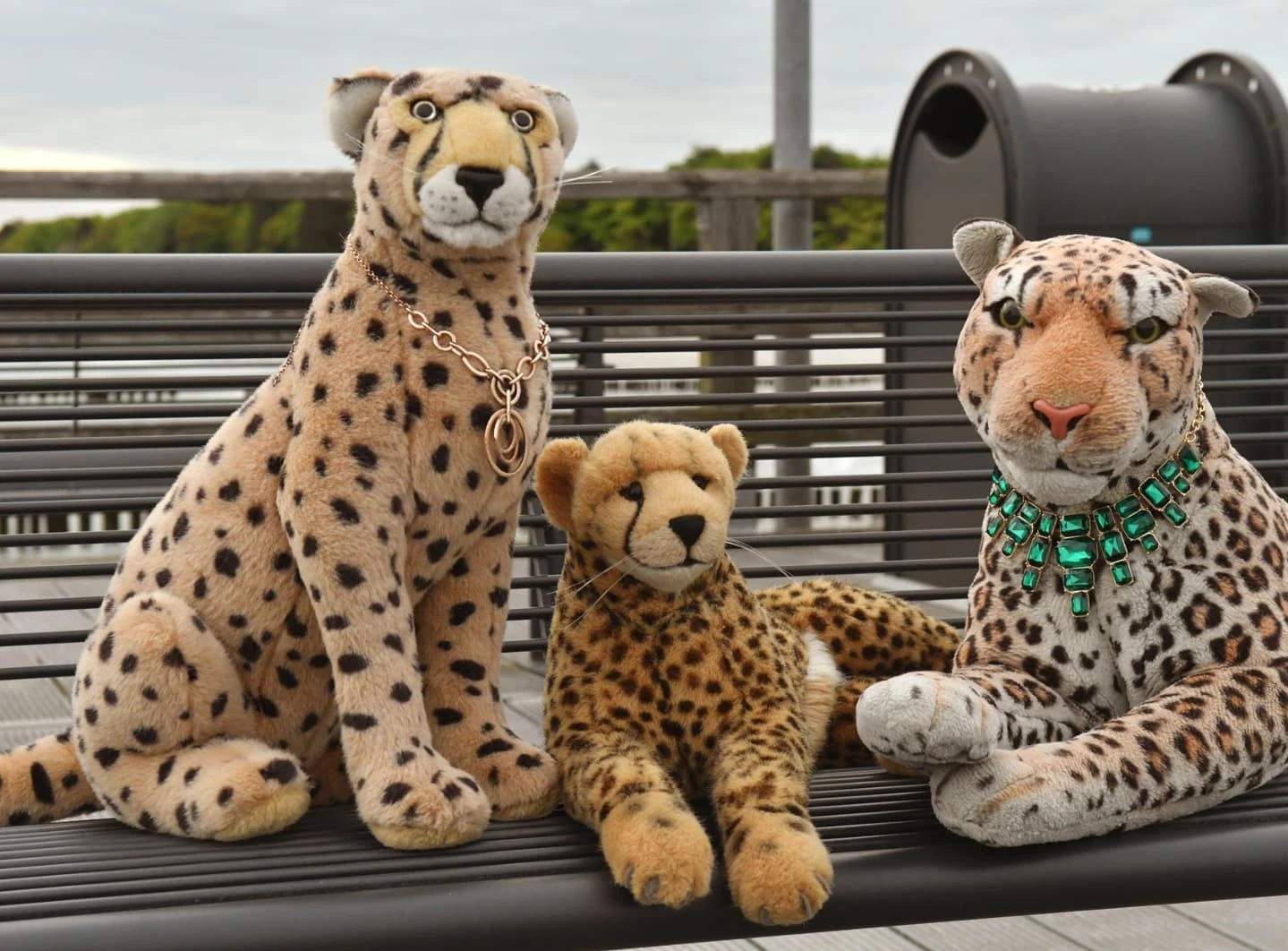 Photo by Juba Gepard on May 19, 2025.