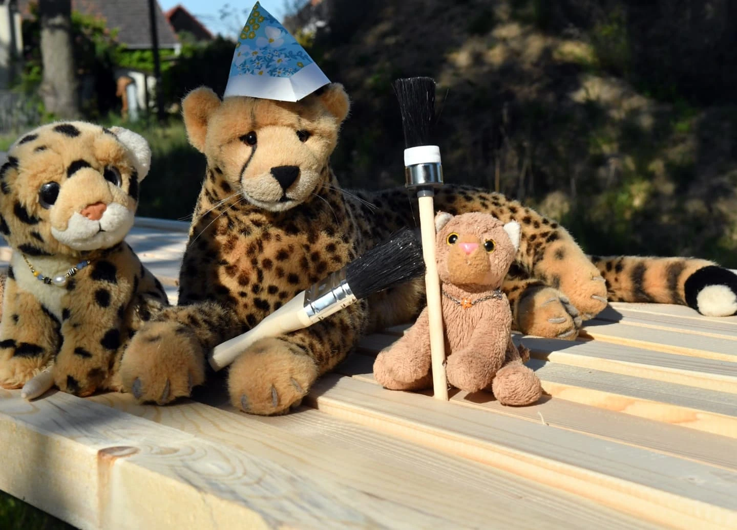 Photo by Juba Gepard on May 02, 2025.